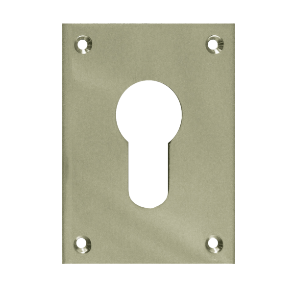 SOUBER TOOLS EE1 Front Fix Euro Escutcheon